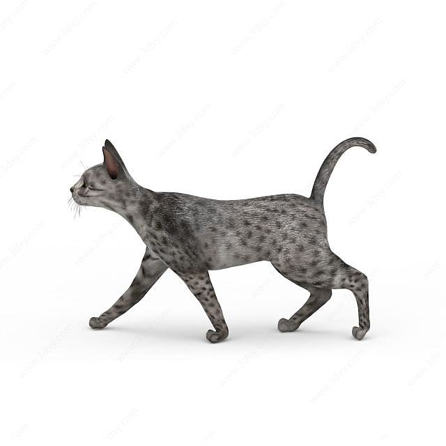 斑点猫3D模型