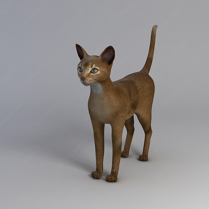 玩具猫3D模型