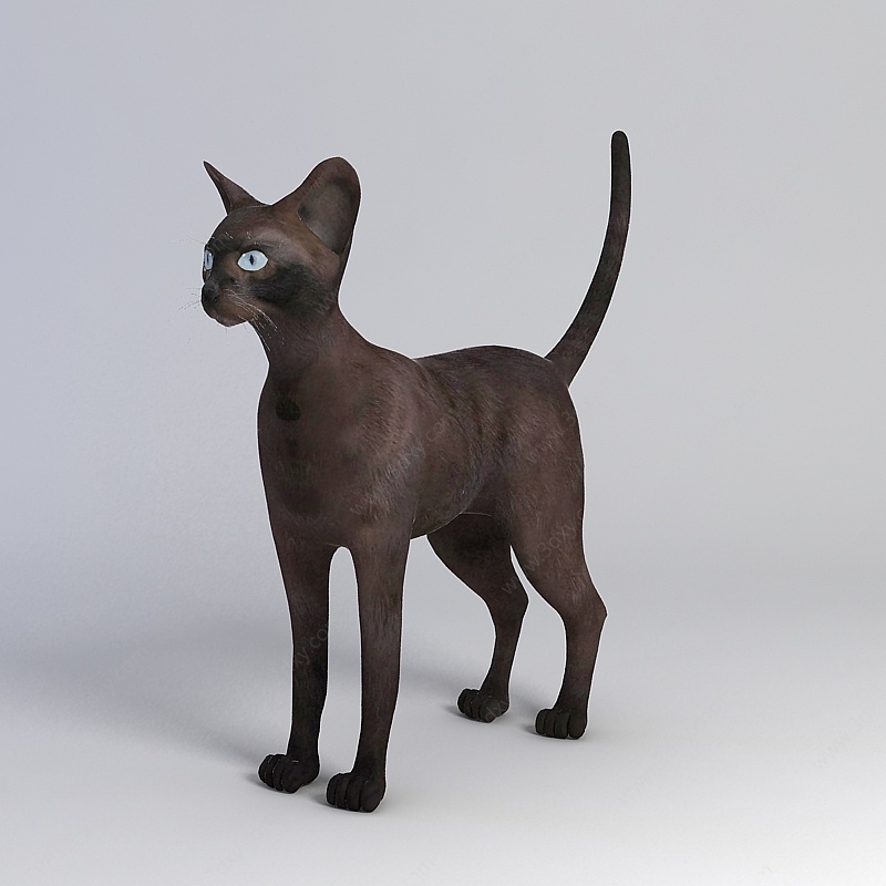 黑猫3D模型