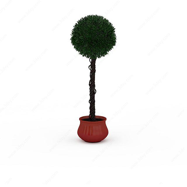 圆形树冠盆栽3D模型