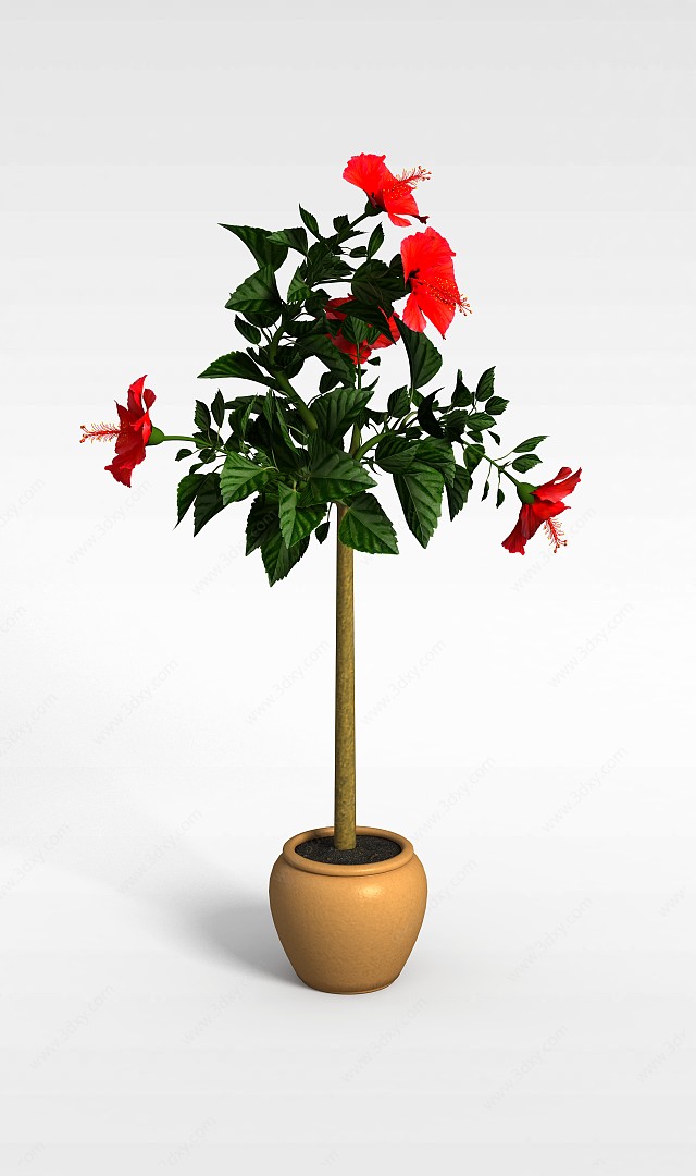 五瓣红花盆栽3D模型