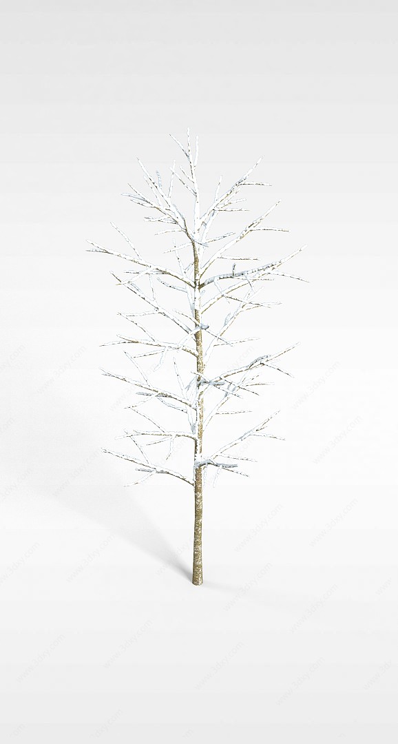 无叶挂雪树木3D模型