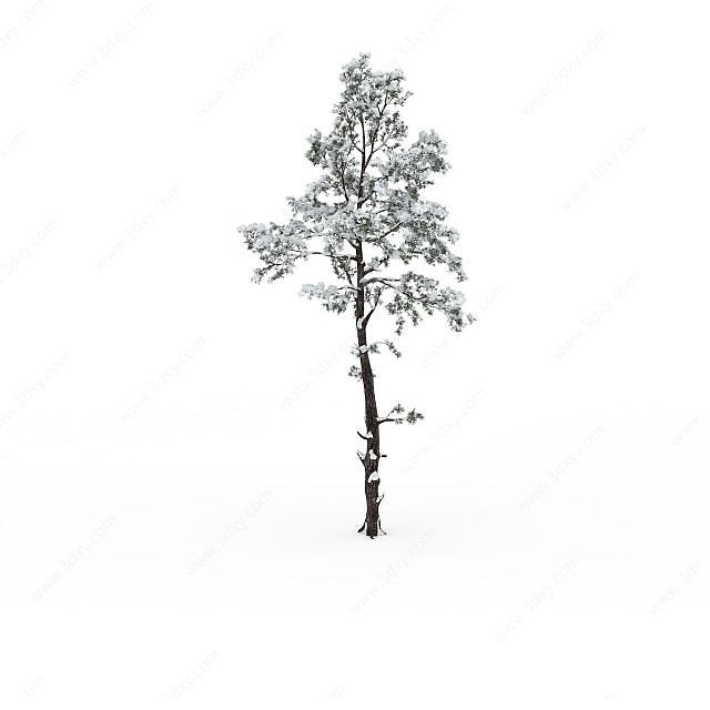 冬天挂雪树木3D模型