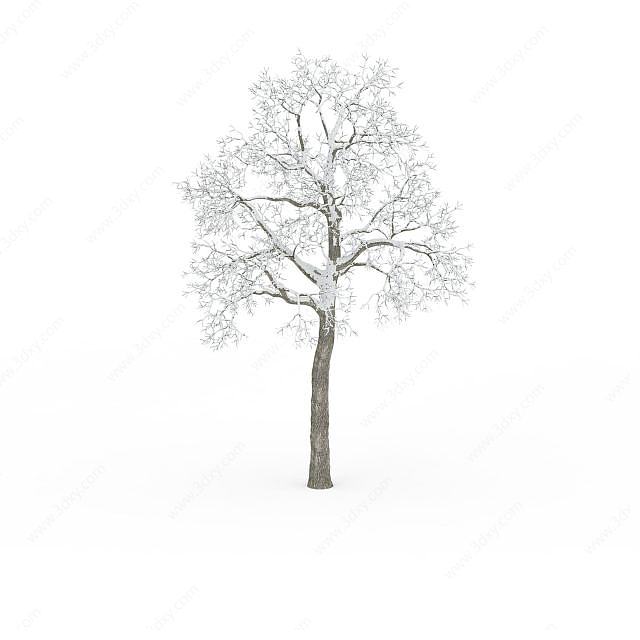 冬天绿化树3D模型