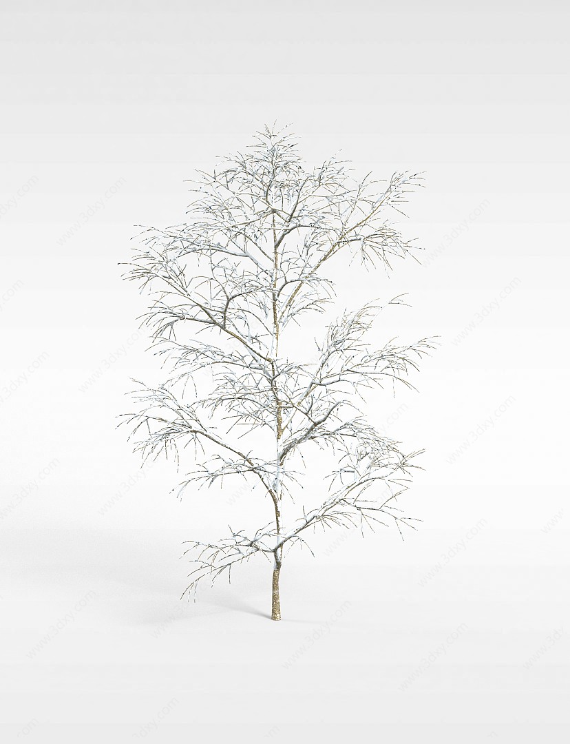 冬日景观树3D模型