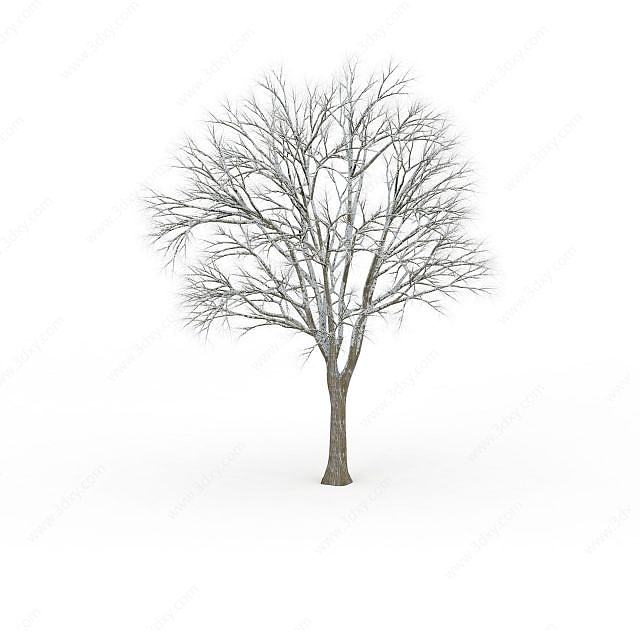 公园冬日树木3D模型