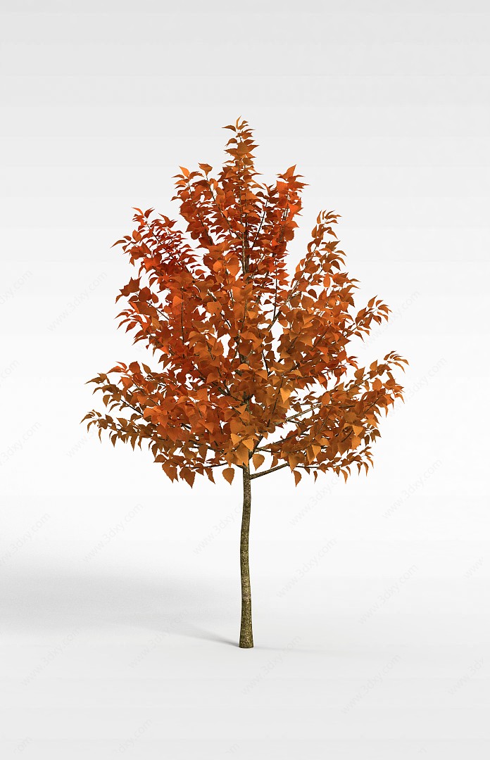 黄叶绿化树3D模型
