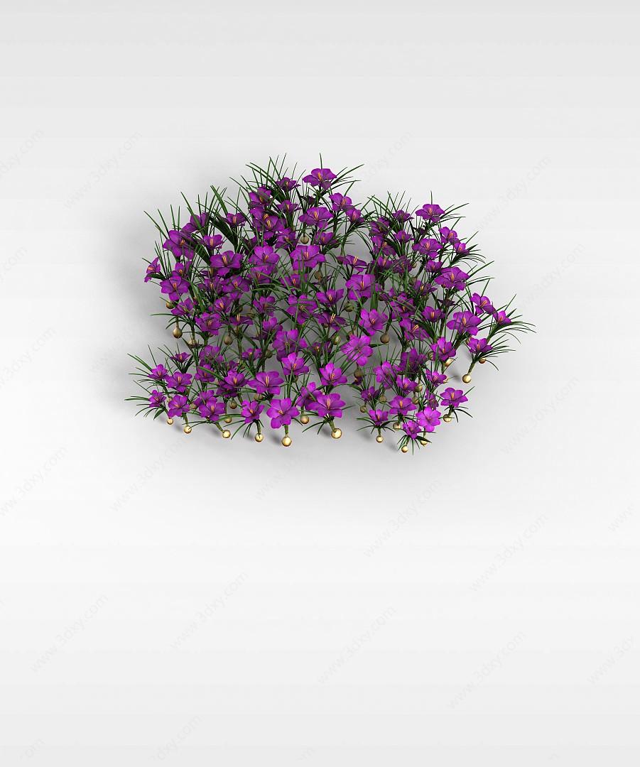 紫色水仙花3D模型