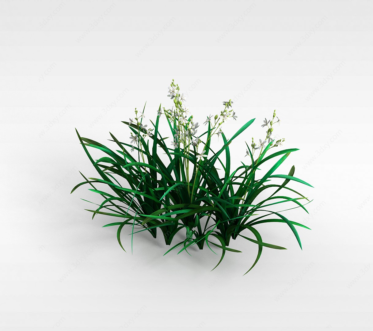 白色花朵盆栽3D模型