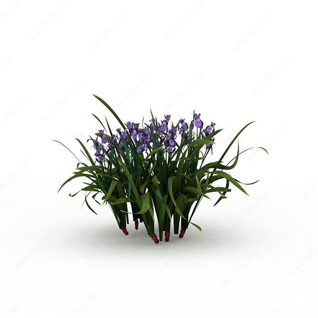 紫色花卉3D模型