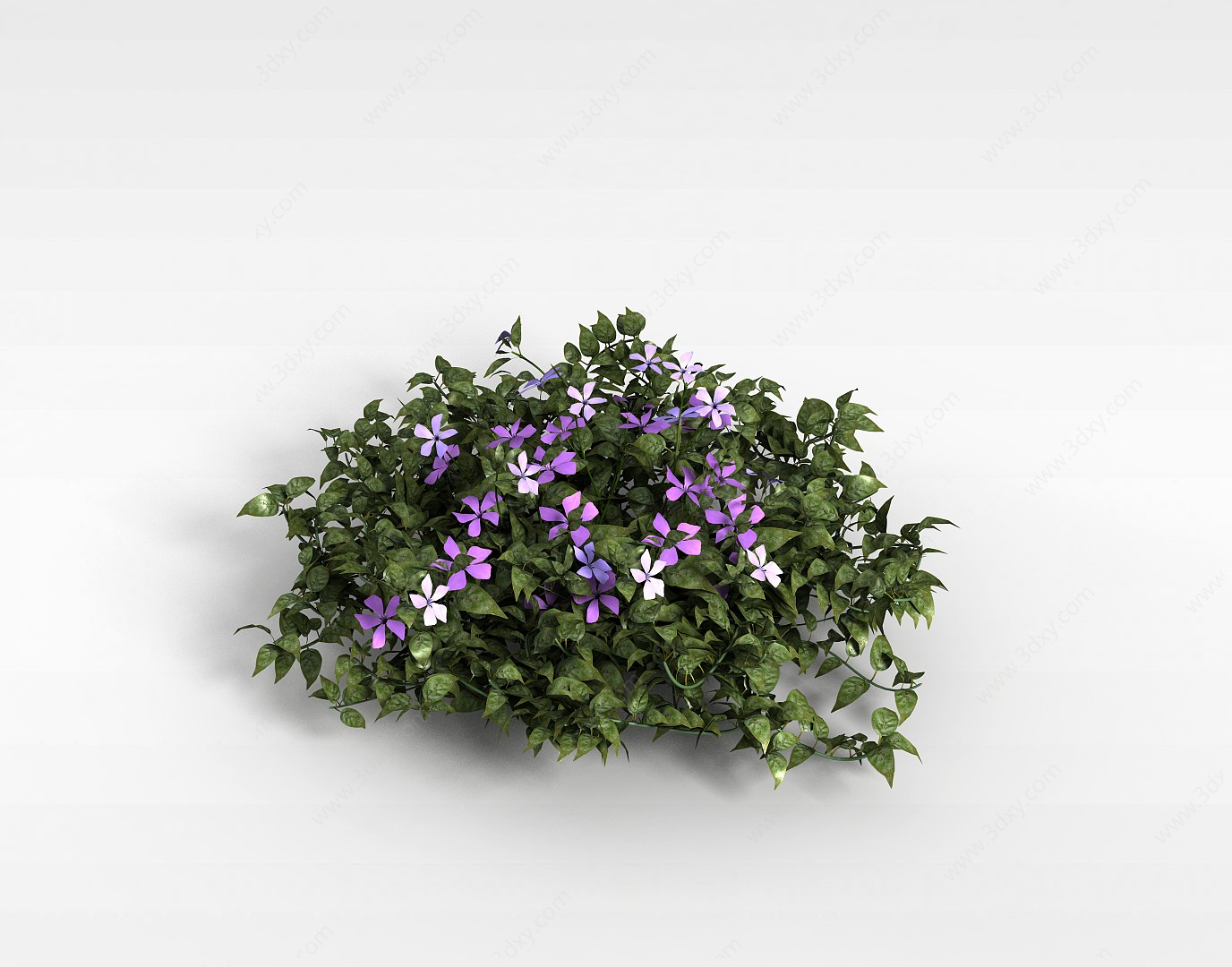 紫花灌木植物3D模型