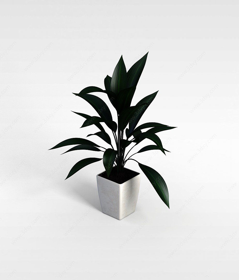 大叶子绿植盆栽3D模型