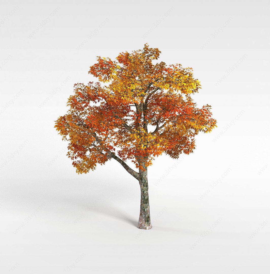 红叶树3D模型