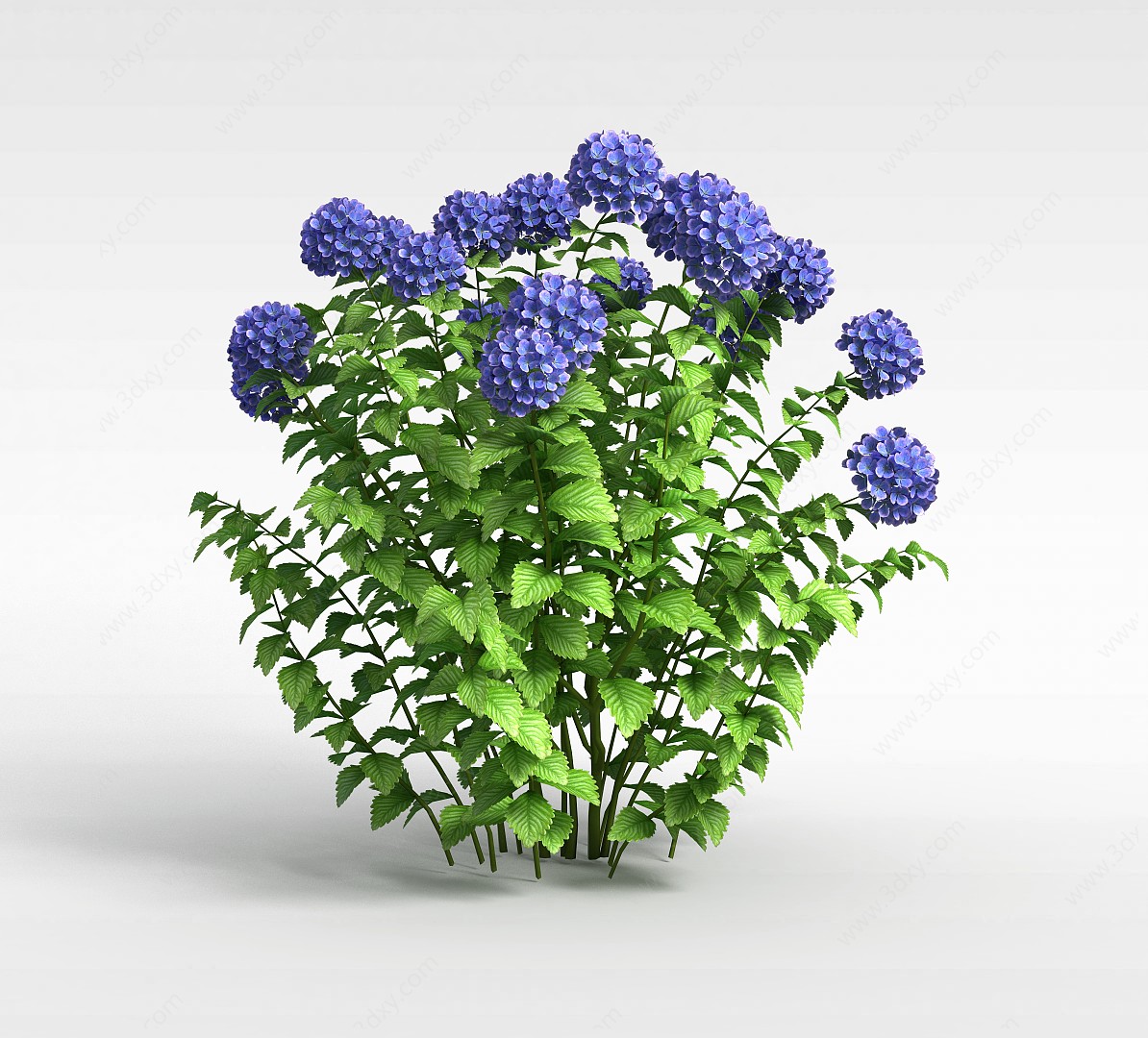 紫色绣球花3D模型