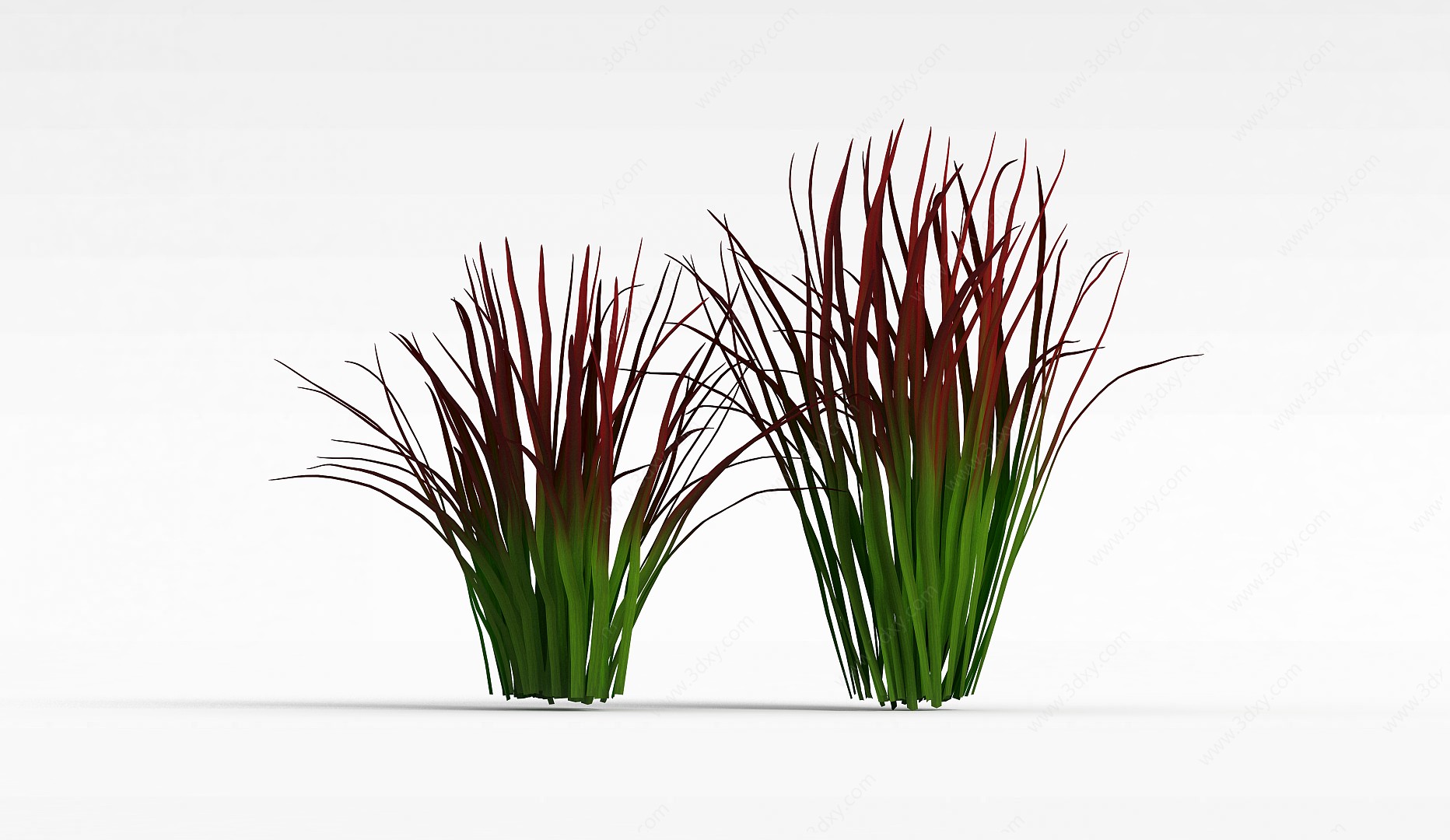 细长叶子绿植3D模型