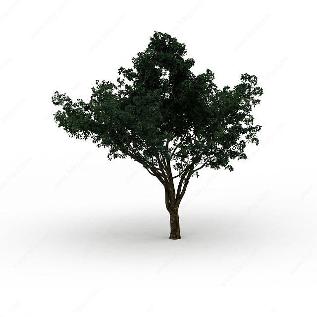 绿化树木3D模型