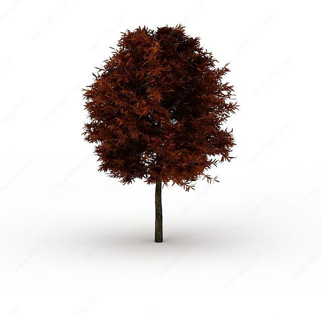 红叶树3D模型