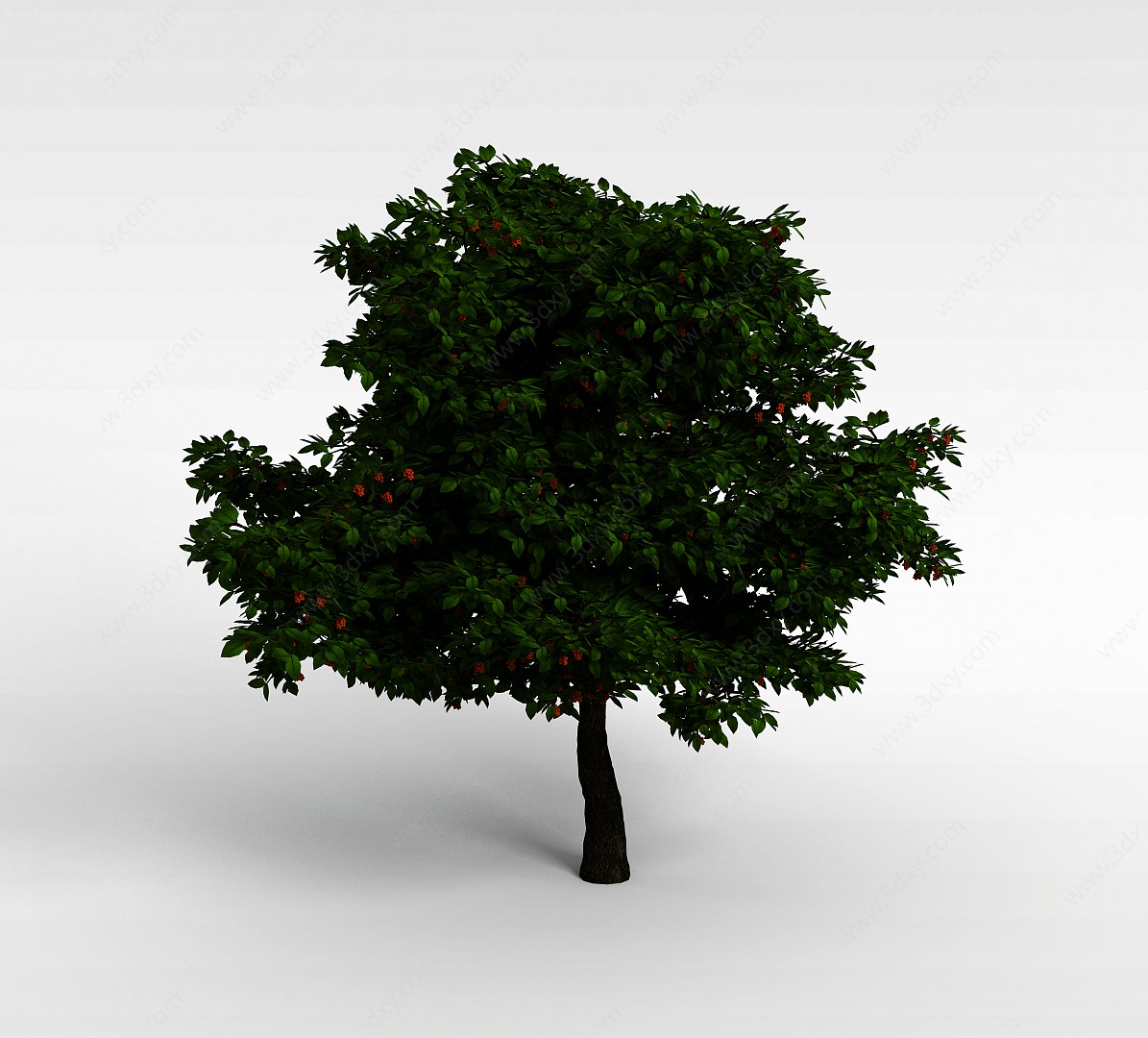 绿色杨梅树3D模型