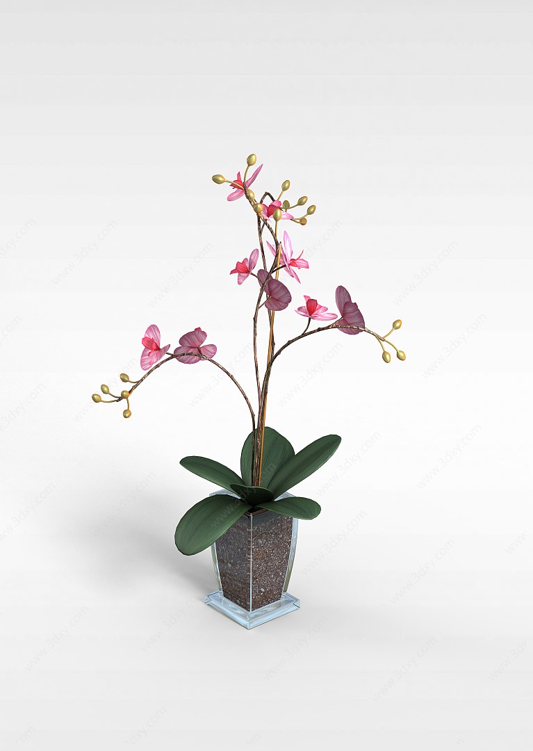 粉色花盆栽3D模型
