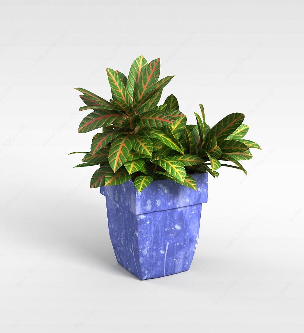 绿色室内盆栽3D模型