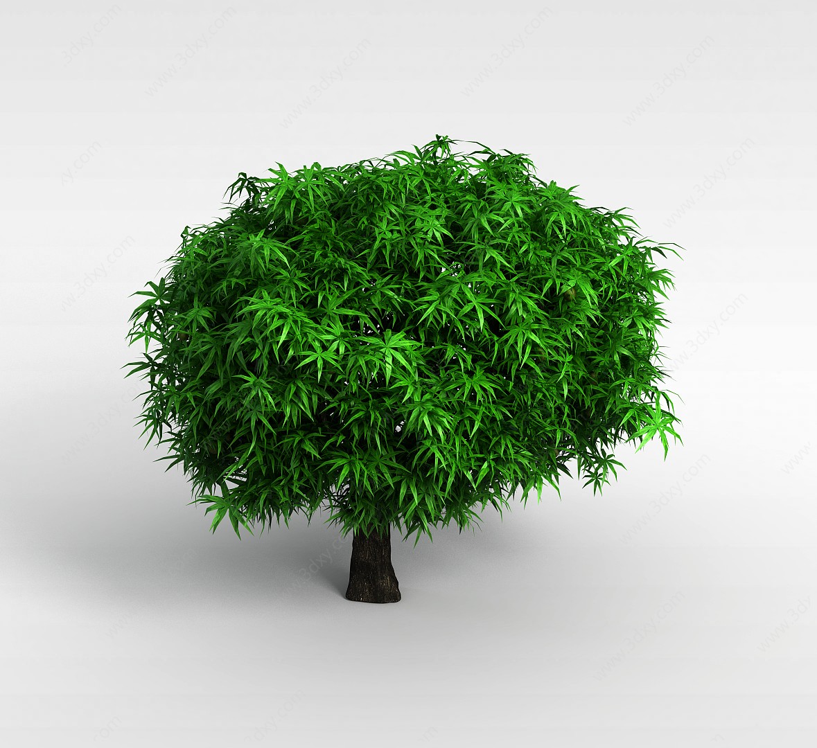 小榕树3D模型