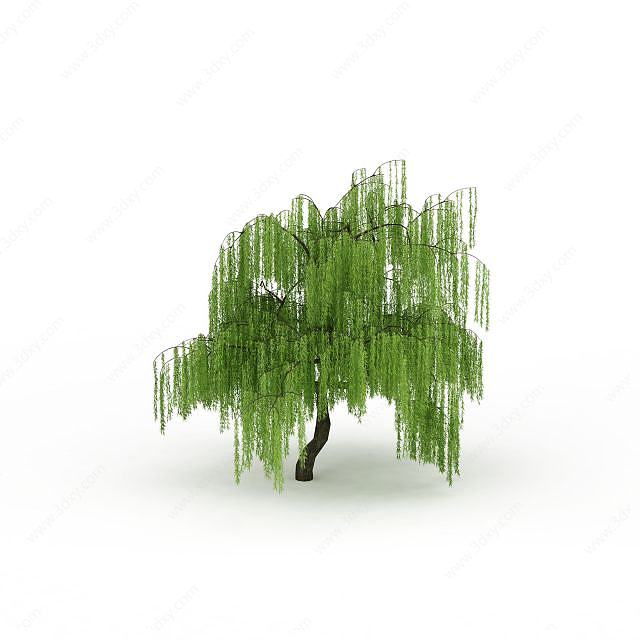 园林柳树3D模型