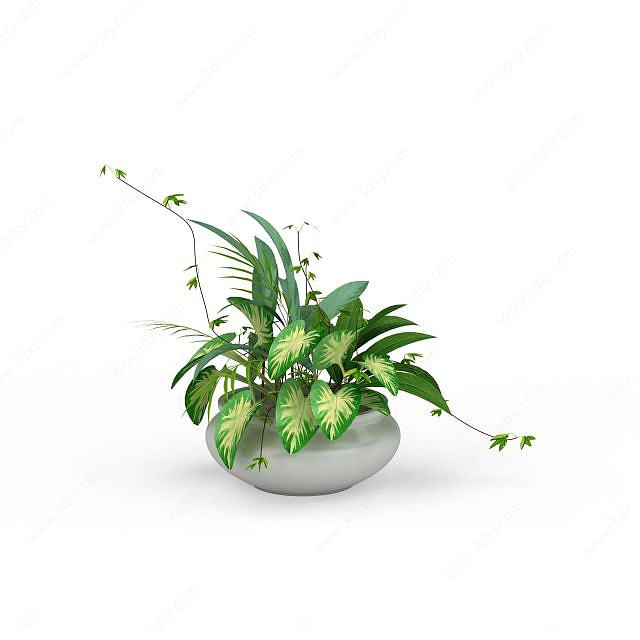 盆栽植物3D模型