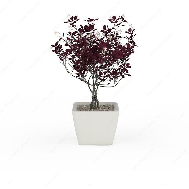 红色植物盆栽3D模型