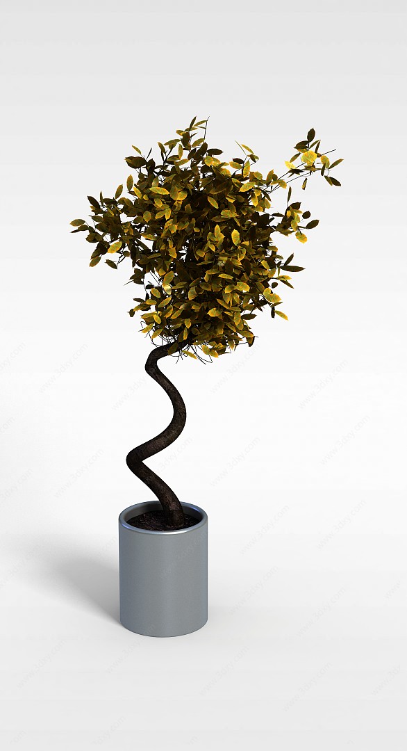 黄色叶子盆栽3D模型