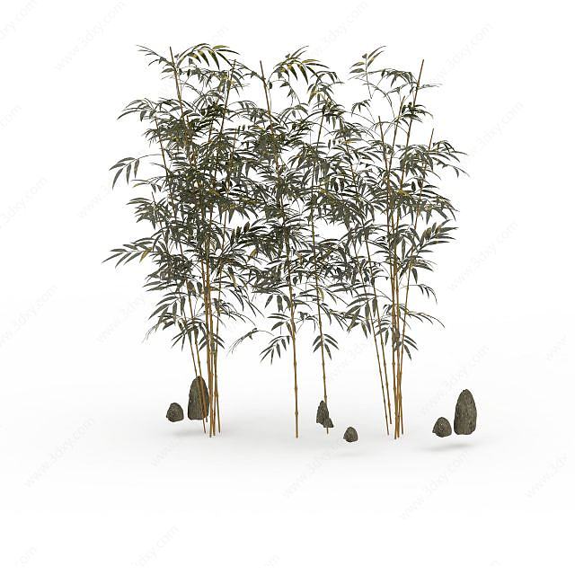 园艺竹子3D模型