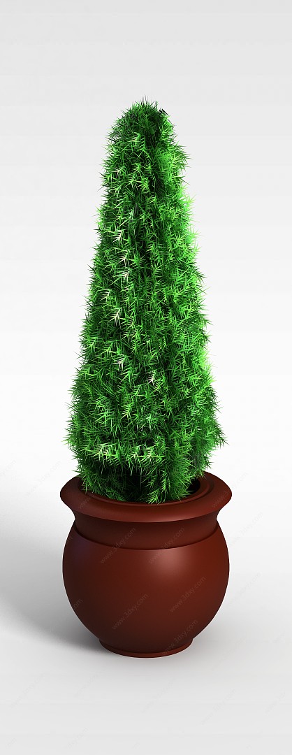 绿松树盆栽3D模型