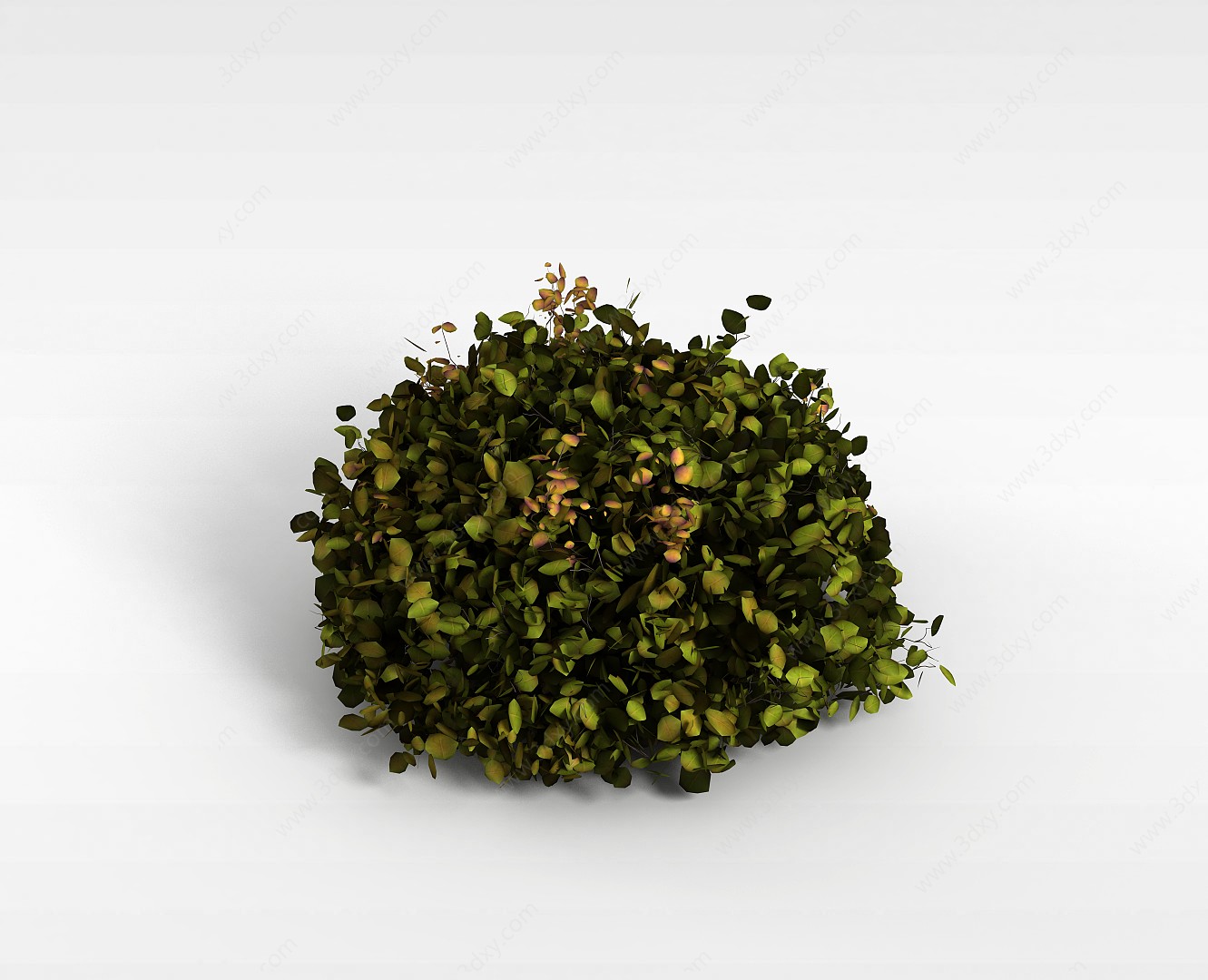 灌木景观树3D模型
