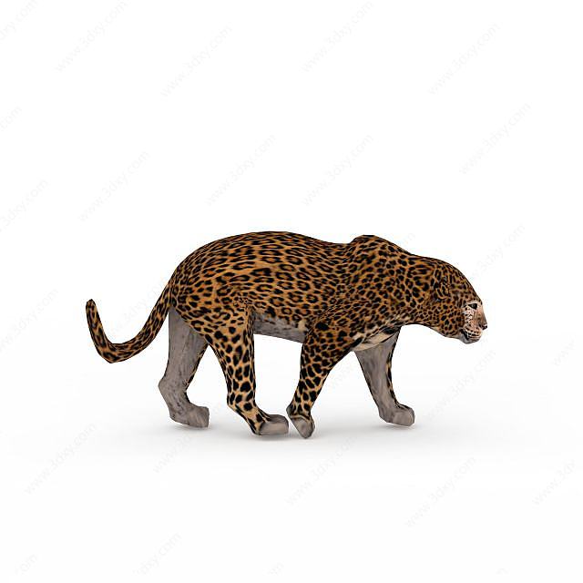 豹子3D模型
