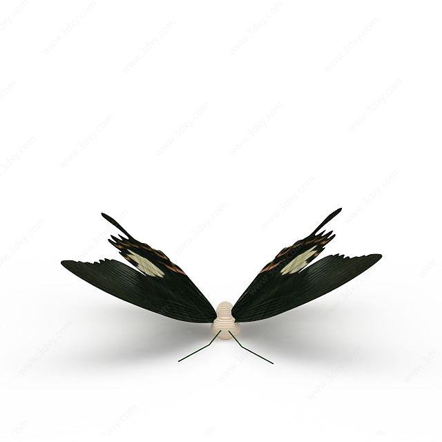 黑色蝴蝶3D模型