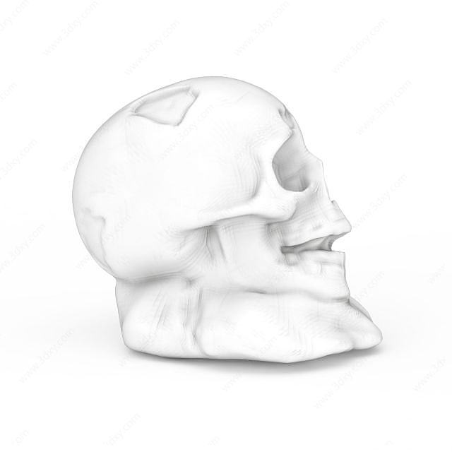 骷髅头人头雕像3D模型