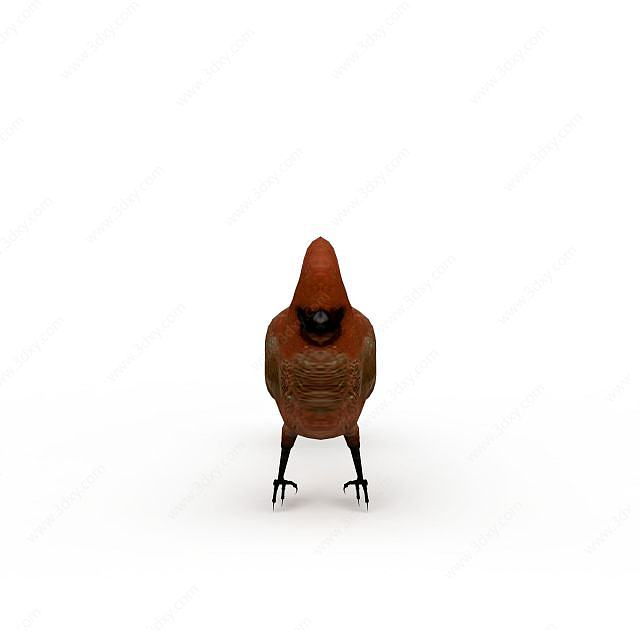 红色小鸟3D模型