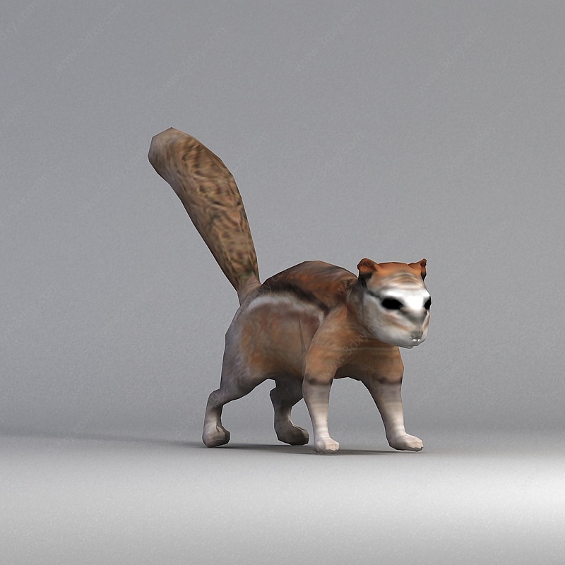 松鼠3D模型