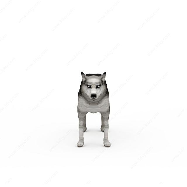 阿拉斯加雪橇犬3D模型