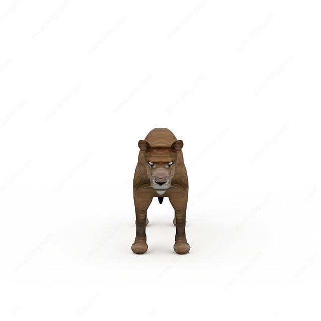 母狮3D模型