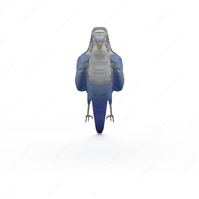 费氏钴蓝色牡丹鹦鹉3D模型