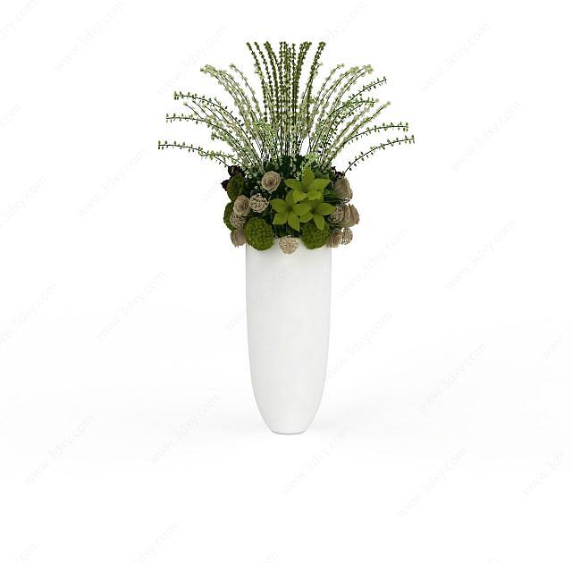 室内装饰植物3D模型