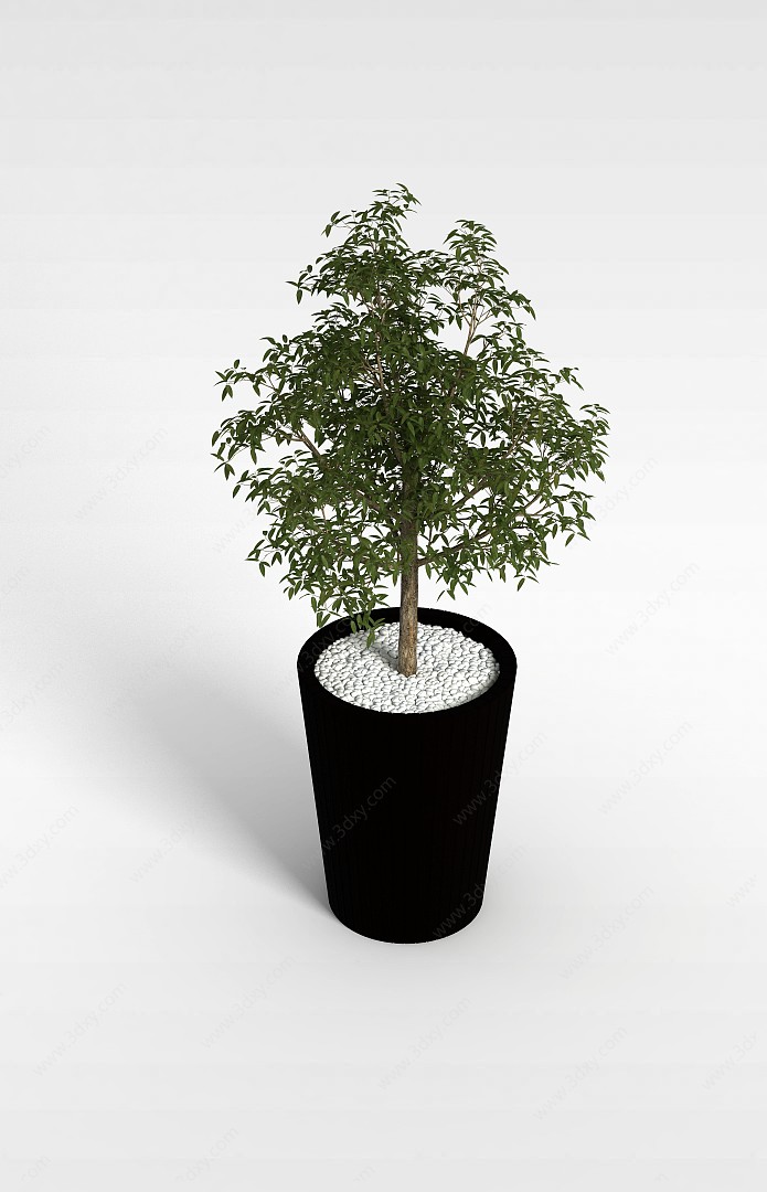 盆栽观赏植物3D模型