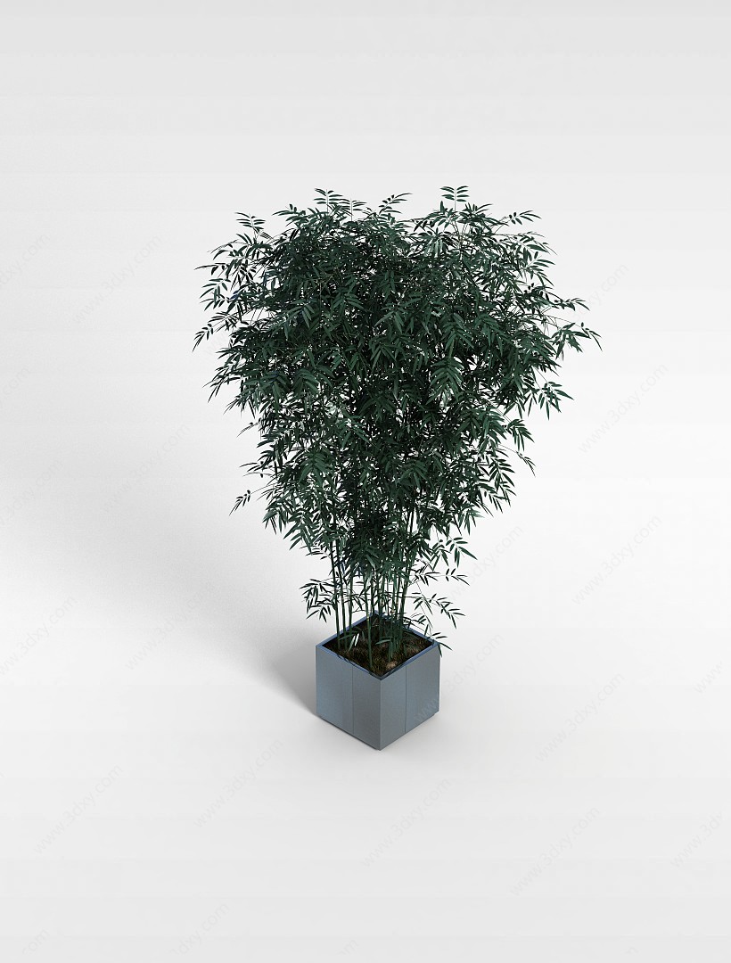 绿色室内植物3D模型