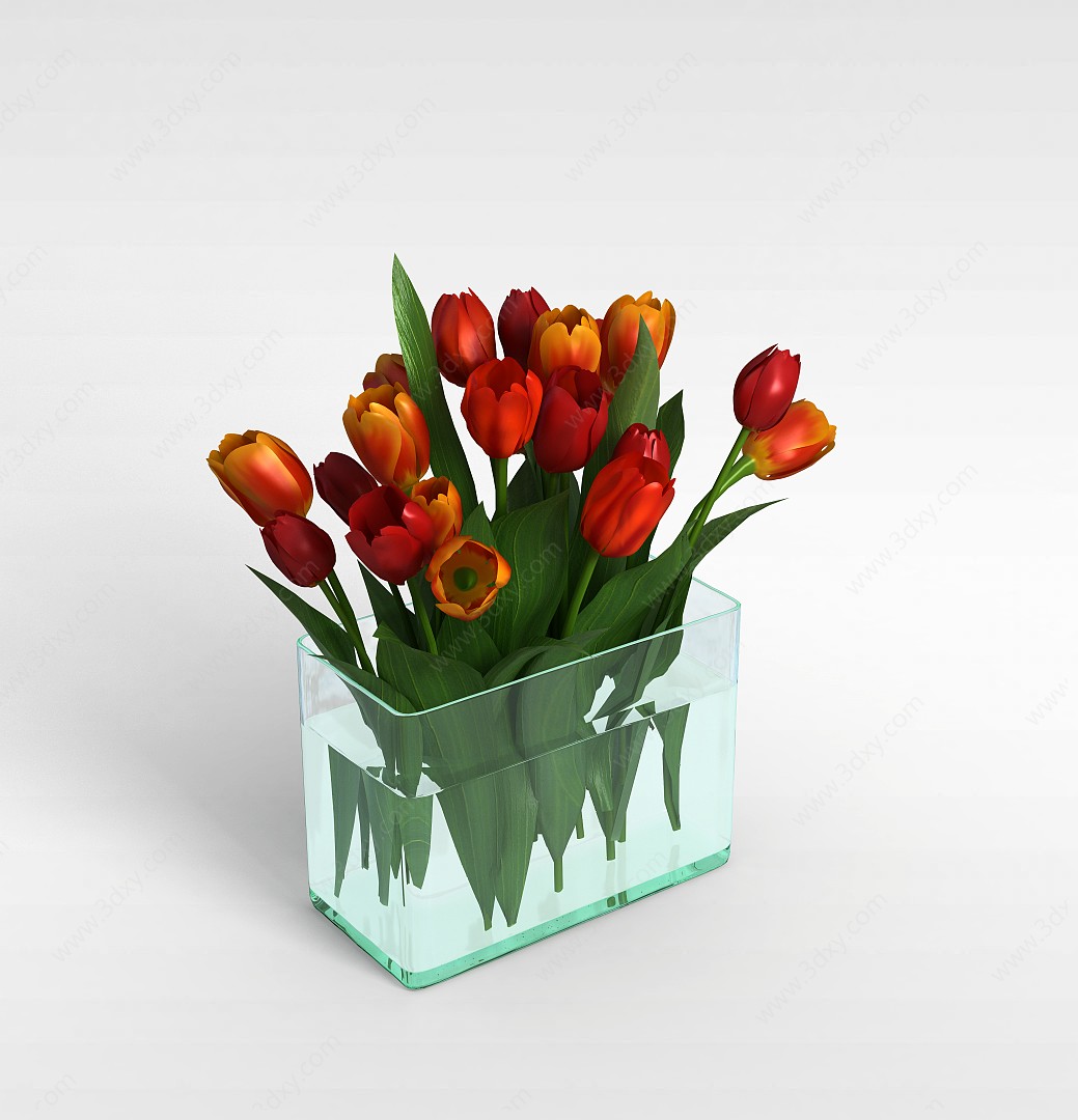 红色观赏花3D模型