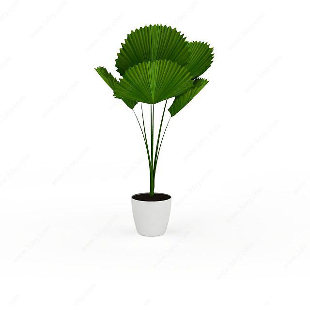 人造室内植物3D模型