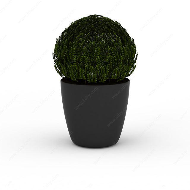 球型植物3D模型