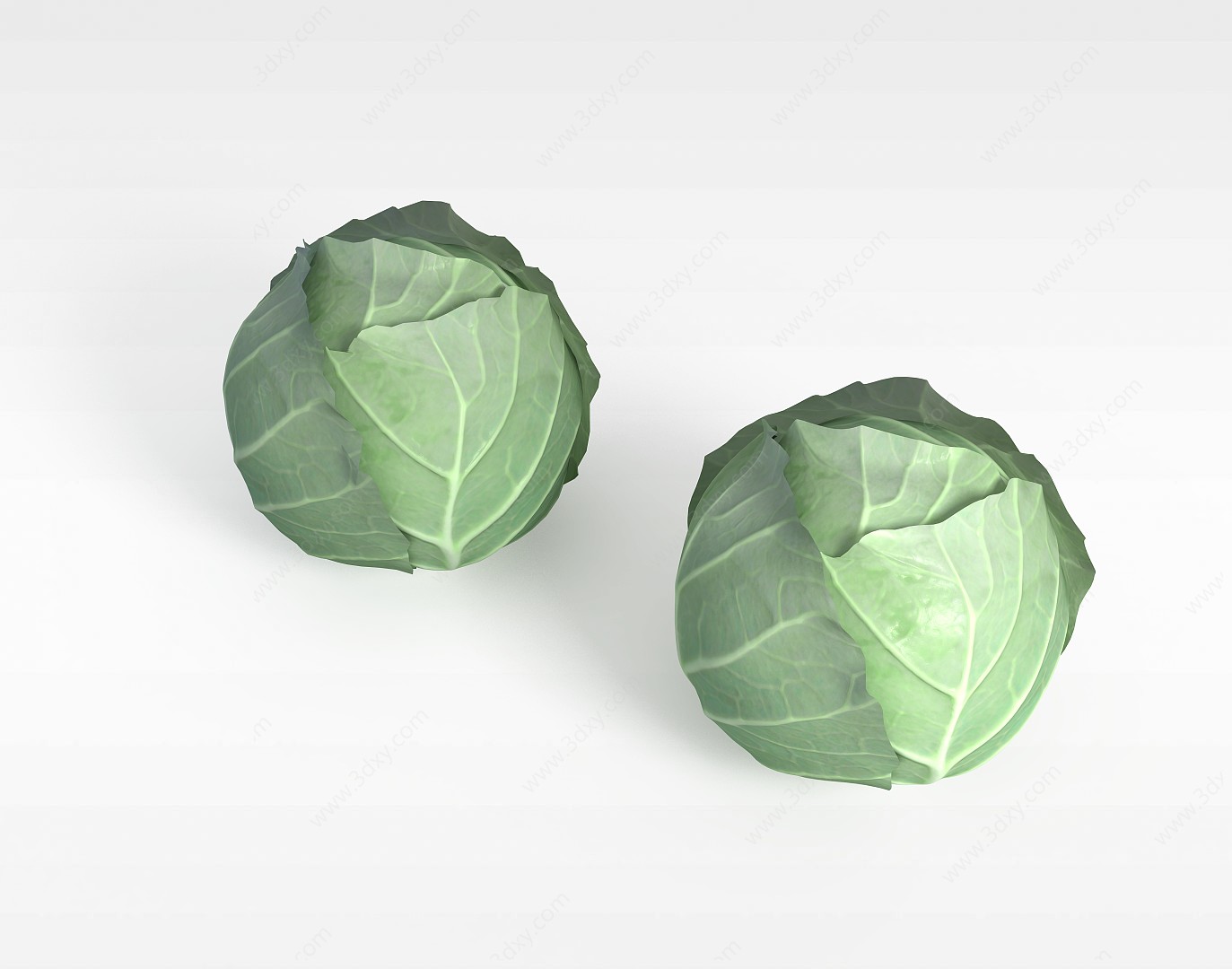 圆白菜3D模型