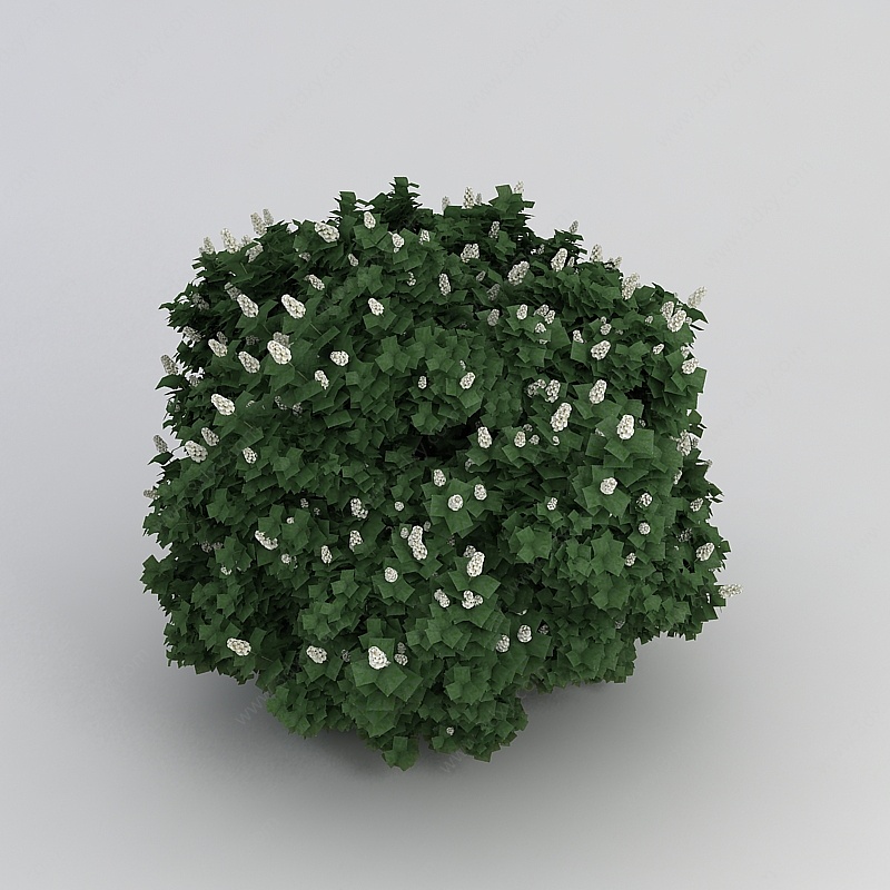 白花绿叶植物3D模型