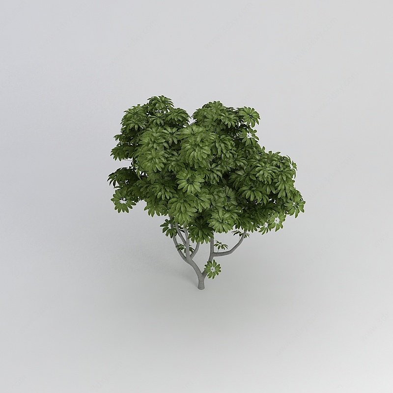 绿色茂密植物3D模型