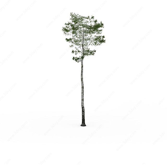 绿化小树3D模型